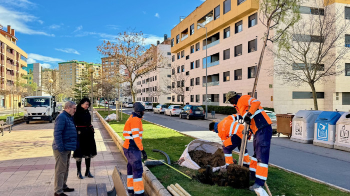 Imagen Comienza la campaña de plantación de arbolado con 304 nuevos ejemplares...