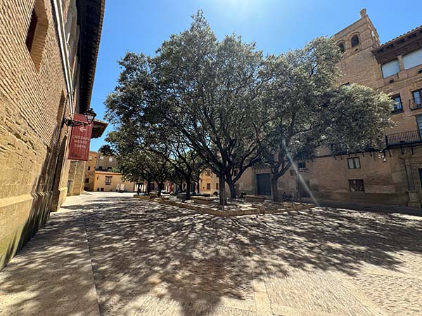 Imagen El Ayuntamiento de Huesca activará el Catálogo de Árboles y Arboledas...