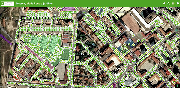 Imagen Arbomap Ciudadano: una herramienta para consultar las zonas verdes y el...
