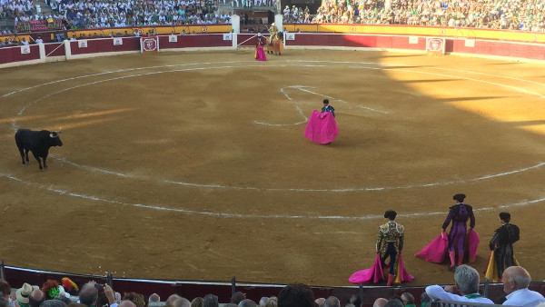 El Ayuntamiento adjudicará a Tauroemoción la organización de la Feria Taurina de San Lorenzo