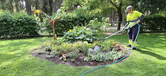 Imagen El Ayuntamiento planta 6.100 flores y plantas de más de 80 especies en...