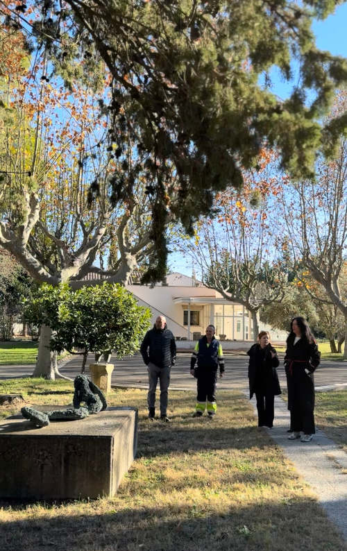 Imagen Finalizan las obras de instalación del nuevo sistema de riego...