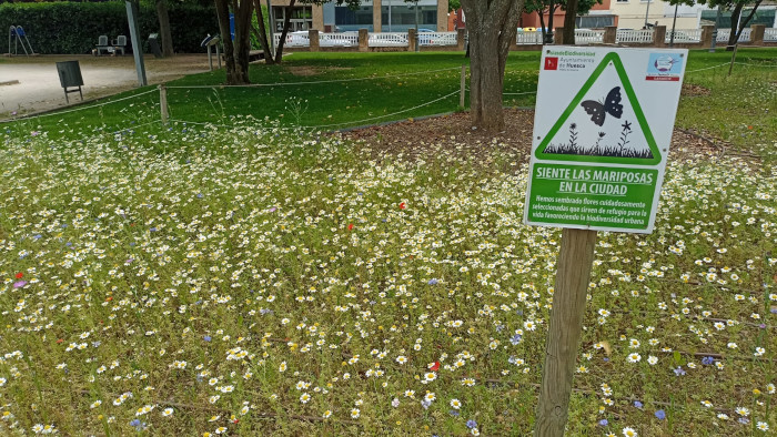 Imagen El Ayuntamiento organiza un “Safari urbano” en el Parque Miguel Servet...