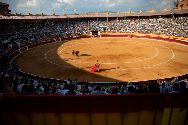 Tauroemoción volverá a organizar la Feria Taurina de San Lorenzo en 2023