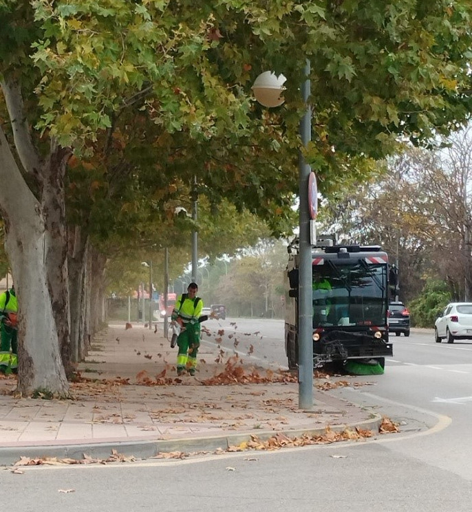 trabajos de limpieza en otoño huesca trabajos de limpieza en otoño huesca