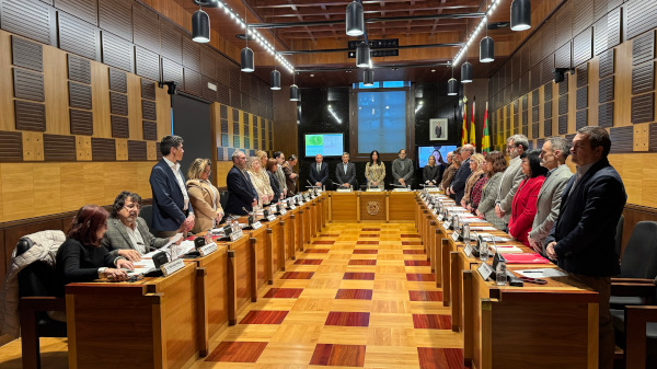 banner pleno ayuntamiento 2024 banner pleno ayuntamiento 2024
