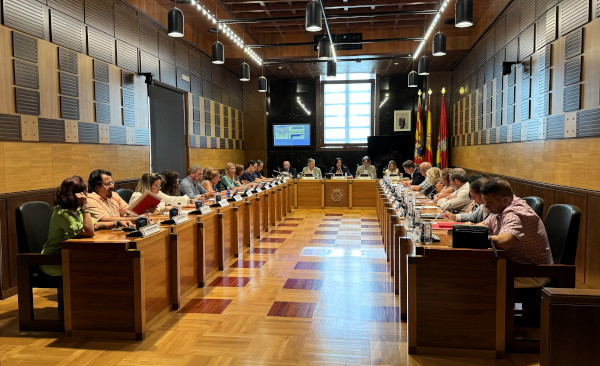 pleno 24 de julio de 2024 pleno 24 de julio de 2024