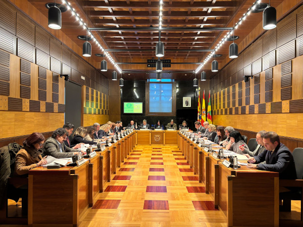 Pleno 30 de enero de 2025 Pleno 30 de enero de 2025
