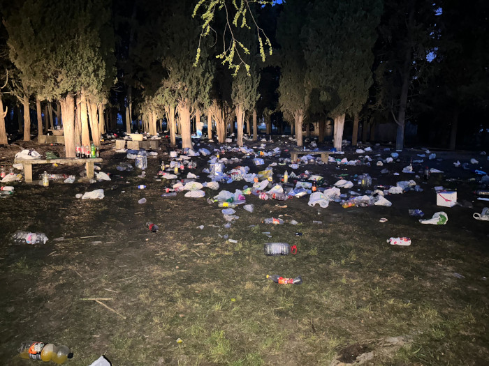 basura en salas 2025 basura en salas 2025