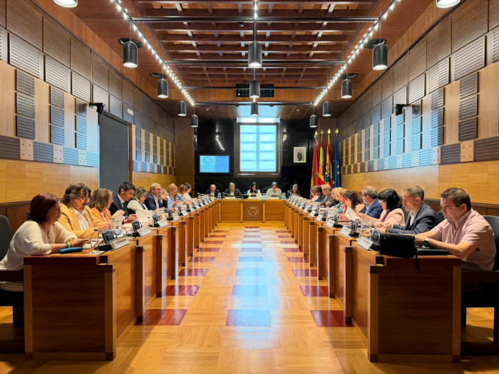 Pleno 28 de mayo de 2026 Pleno 28 de mayo de 2026