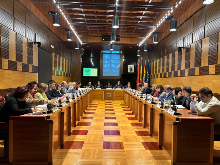 Pleno 26 de febrero de 2026