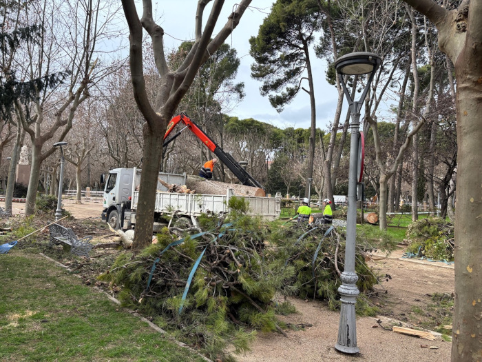 caída de pino en parque miguel servet 